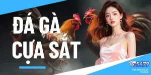 đá gà cựa sắt
